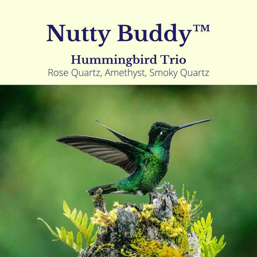 Nutty Buddy™ Hummingbird Trio